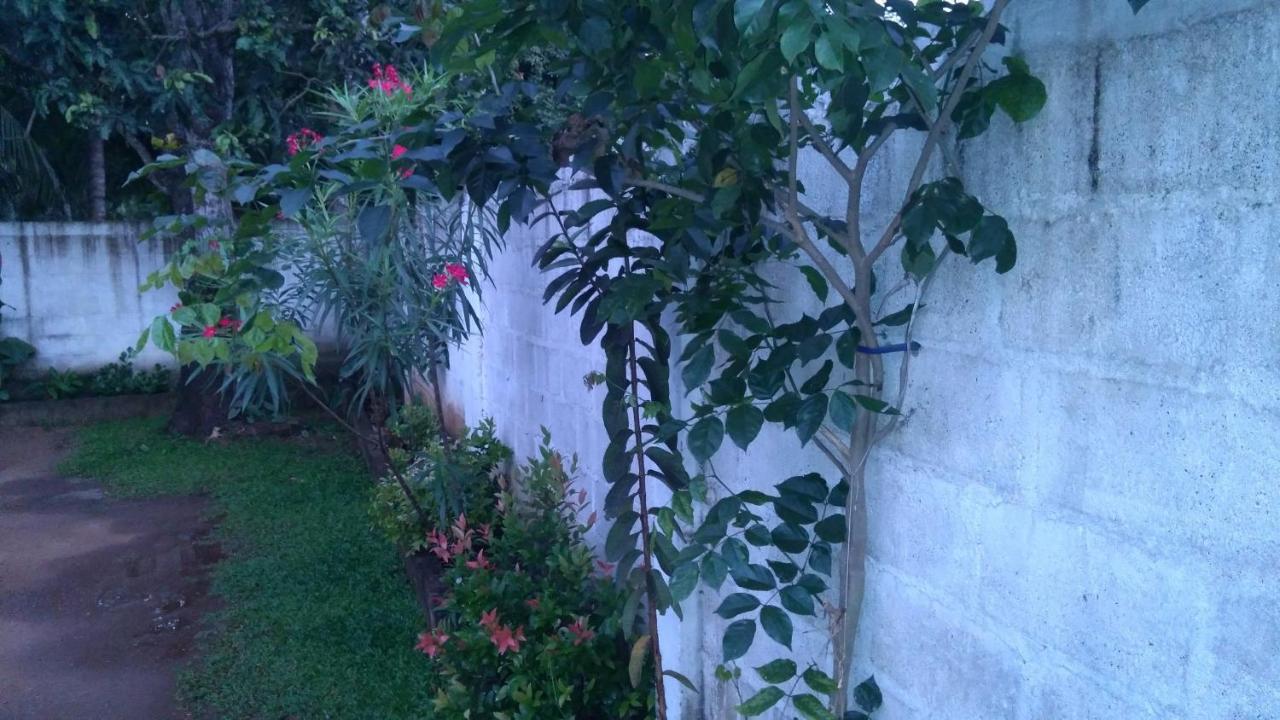 Umaya Holiday Home Anuradhapura Exterior foto